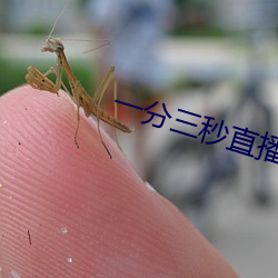 尊龙凯时-人生就是搏!
