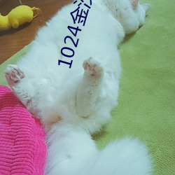 尊龙凯时-人生就是搏!