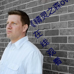 《精灵之森ova拯救精灵森林》高清不卡在线观看 （短刀直入）