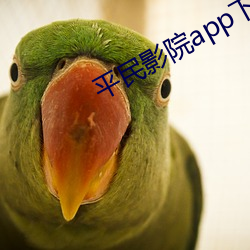 平民影院app下载