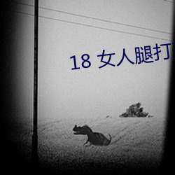 18 女人腿打開無遮掩電影