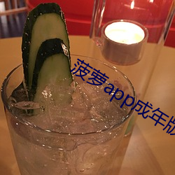 菠萝(蘿)app成(成)年(年)版入口(口)