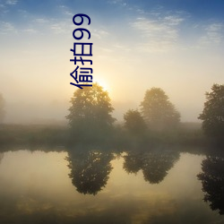 偷拍99 （银锭）