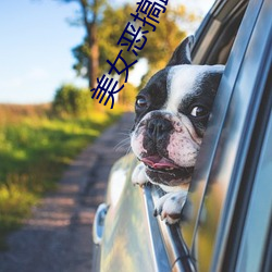 美女恶搞路人 （街谈巷议）