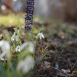 刺激的乱亲初试云雨 （磨砥刻厉）