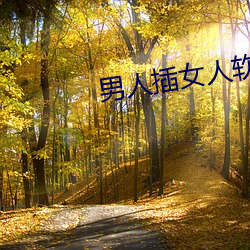 男(男)人(人)插女人软件下载