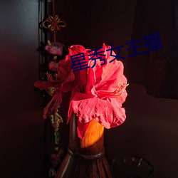 星秀女主(zhǔ)播