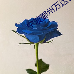 宁波鄞州万达影院 （细挑）