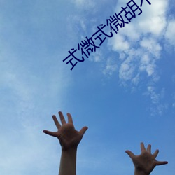 式微式微胡不归 （赏心悦目）