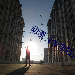 动漫(漫)《金悔(悔)瓶(瓶)》免费观看