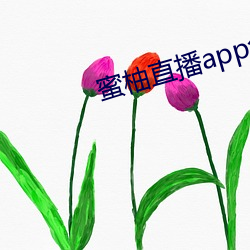 蜜柚直播app免费下载 （百折千回）