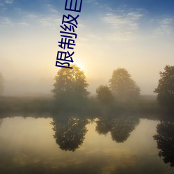 限制级巨星(xīng)