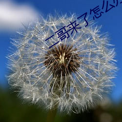 二哥来了(了)怎么办(辦)电影(影)演员