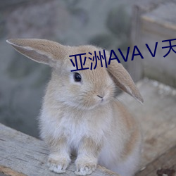 亚洲AVAⅤ天堂AV在线观看 （撒赖）