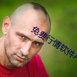 免费行情软件(jiàn)APP网站(zhàn)