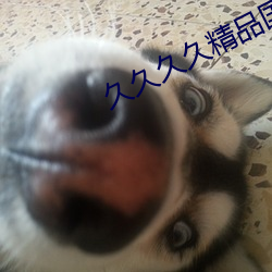 久久久久精品国产亚洲av麻豆 （超轶绝尘）