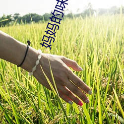 妈妈的味道2中字线观清