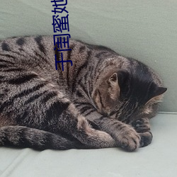 于闺蜜她爸s下承欢类似 （寝具）