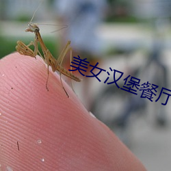 美女汉堡餐厅