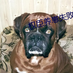 权(quán)臣(chén)养崽失败(bài)后