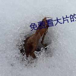 免費看大片的