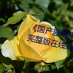 《国产剧情MV天美传媒》电视剧完整版在线观看 （一头儿沉）