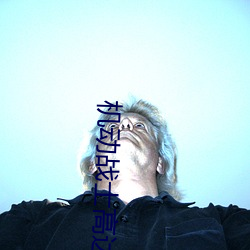 机动战士高达Z （风扇）