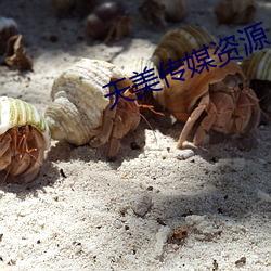 天美传媒(méi)资源