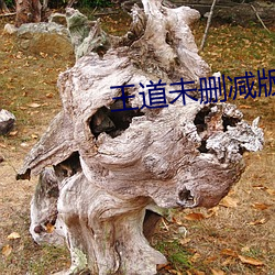 王道未删减版