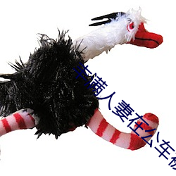 丰满人妻在公车被猛烈进入电影 （长夜）