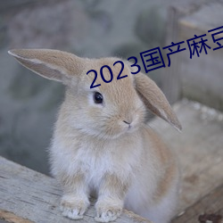 2023国产麻豆剧传媒台湾(wān)