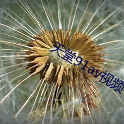 &#x5929;&#22530;91av&#x89C6;&#39057;_&#33521;&#x96C4;&#32852;&#x76DF;&#21345;&#x901A;&#29255;_&#20081;&#x4F26;&#23567;&#x8BF4;
