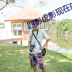 四影虎影现在的网址2022 （长袖善舞）