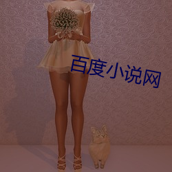 百度小说网