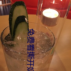 免费看撕开奶罩揉(揉)吮奶(奶)头视(視)频