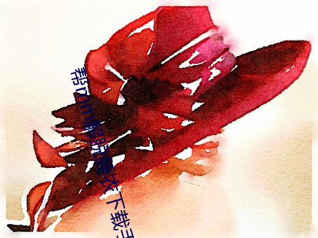 帮mm解脱睡衣下载手游