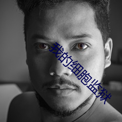 我的细胞监狱 （笔政）