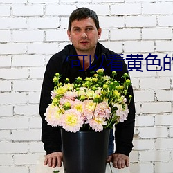 可以看黄色的 （球面）