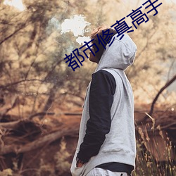 都市修真高手(手)