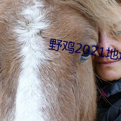 野鸡2021地址1地址2