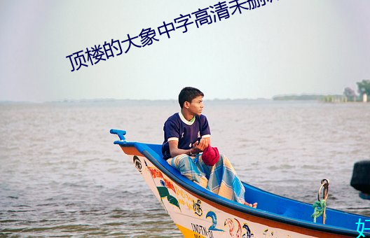 頂樓的大象中字高清未刪減