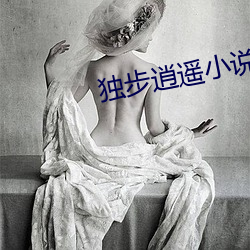 独步逍遥小说