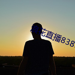 浪花直播838tv （行不履危）