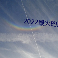 2022最火的直播app （同声相应）