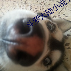 鬥羅大陸小說下載