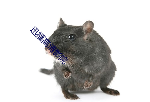 金年会 | 诚信至上金字招牌