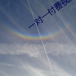 一对一付费视频聊天