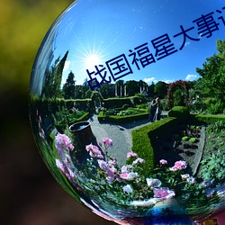 战国福星大事记