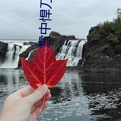 雪中悍刀行2小说
