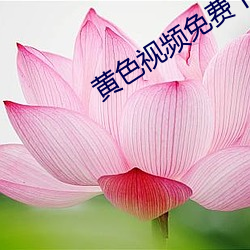 黄(huáng)色(sè)视频免费下载软件观看